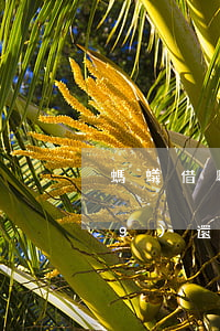 螞蟻借唄怎么設(shè)置自動(dòng)還款順序-螞蟻借唄怎么設(shè)置自動(dòng)還款順序呢