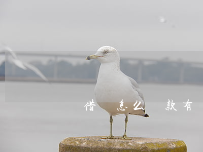 螞蟻借唄怎么還款有額度卻沒有-