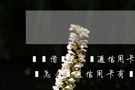 螞蟻借唄怎么開通信用卡有過逾期-螞蟻借唄怎么開通信用卡有過逾期的