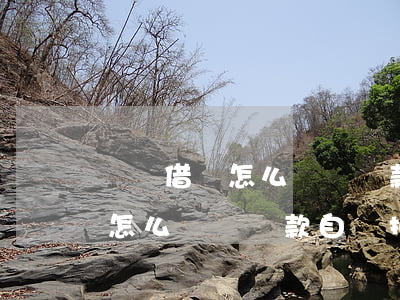 螞蟻借唄怎么關閉還款自動扣款-螞蟻借唄怎么關閉還款自動扣款功能