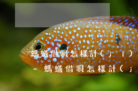 螞蟻借唄怎樣計(jì)算已還款的總利息-螞蟻借唄怎樣計(jì)算已還款的總利息呢