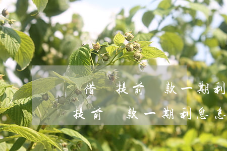 螞蟻借唄提前還款一期利息怎么算-螞蟻借唄提前還款一期利息怎么算的