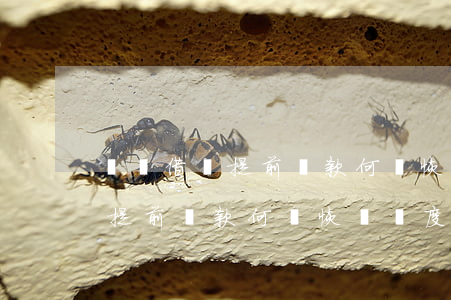 螞蟻借唄提前還款何時恢復額度-螞蟻借唄提前還款何時恢復額度了