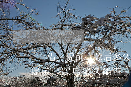 螞蟻借唄提前還款后多久能借錢-螞蟻借唄提前還款后多久能借錢啊