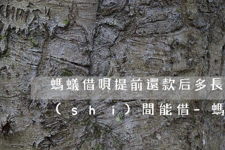 螞蟻借唄提前還款后多長(zhǎng)時(shí)間能借-螞蟻借唄提前還款后多長(zhǎng)時(shí)間能借出來(lái)