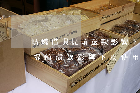 螞蟻借唄提前還款影響下次使用-螞蟻借唄提前還款影響下次使用嗎