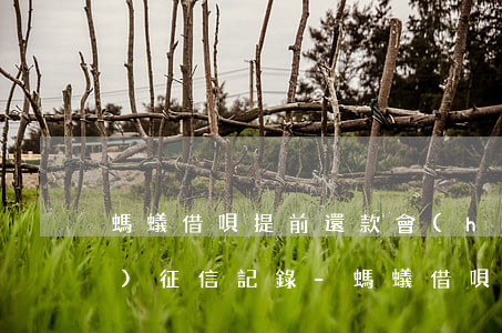 螞蟻借唄提前還款會(huì)對(duì)征信記錄-螞蟻借唄提前還款會(huì)對(duì)征信記錄有影響嗎