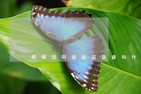 螞蟻借唄提前還款會有什么后果-