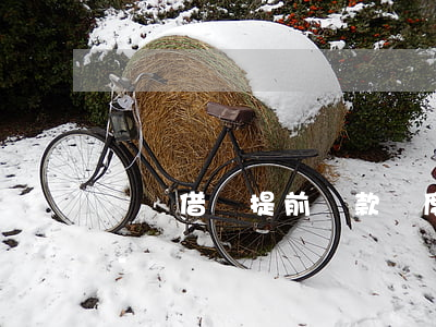 螞蟻借唄提前還款額度會(huì)變低么-