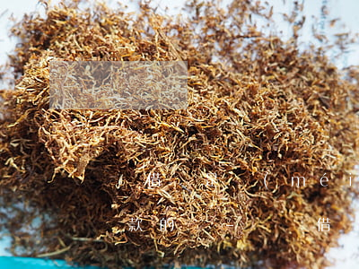 螞蟻借唄是沒(méi)個(gè)月都要還款的嗎-螞蟻借唄是沒(méi)個(gè)月都要還款的嗎安全嗎