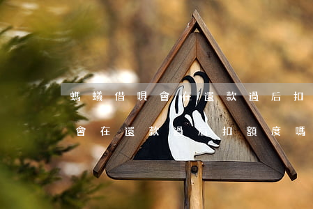 螞蟻借唄會在還款過后扣額度嗎-螞蟻借唄會在還款過后扣額度嗎是真的嗎