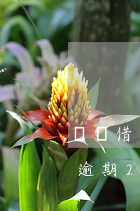 螞蟻借唄有兩個(gè)月逾期(支付寶借唄逾期2個(gè)月)