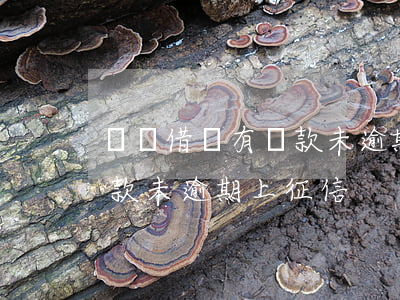 螞蟻借唄有貸款未逾期上征信 螞蟻借唄有貸款未逾期上征信
