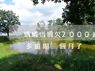 螞蟻借唄欠2000逾期三個月(借唄欠一萬多逾期三個月了)
