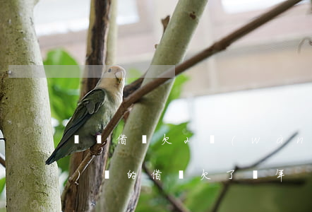 螞蟻借唄欠2萬(wàn)兩年沒(méi)還的(借唄欠了兩年)