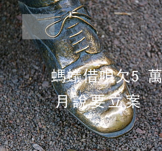 螞蟻借唄欠5萬逾期(借唄欠款5萬逾期3個月說要立案)