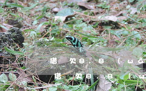 螞蟻借唄欠8.8萬(wàn)逾期被起訴(螞蟻借唄欠8.8萬(wàn)逾期被起訴)