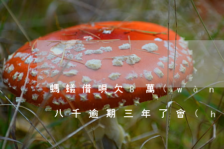螞蟻借唄欠8萬(wàn)逾期(欠螞蟻借唄八千,逾期三年了,會(huì)被起訴嗎?)
