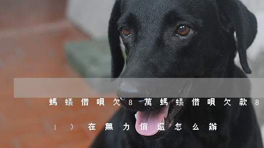 螞蟻借唄欠8萬(螞蟻借唄欠款8萬,實(shí)在無力償還,怎么辦)