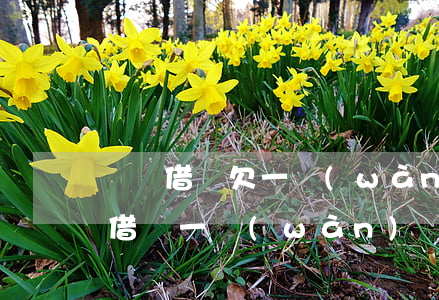 螞蟻借唄欠一萬(wàn)沒(méi)還(借唄一萬(wàn)還不起咋辦)