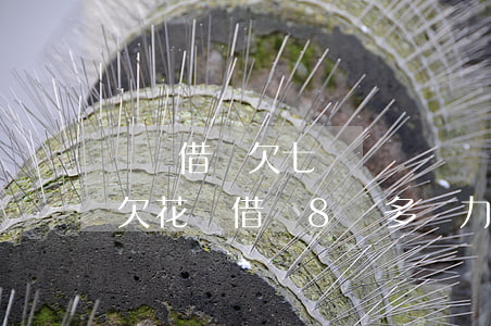 螞蟻借唄欠七萬沒錢還會(huì)坐牢嗎(欠花唄借唄8萬多無力償還會(huì)坐牢嗎)