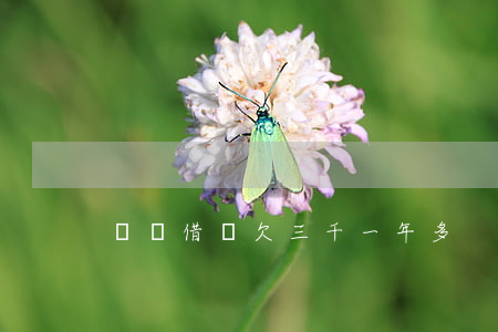 螞蟻借唄欠三千一年多