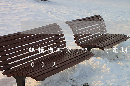 螞蟻借唄欠了20萬逾期了(螞蟻借唄逾期200天)