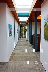 螞蟻借唄欠了2萬還不起(支付寶借唄欠2萬還不上)