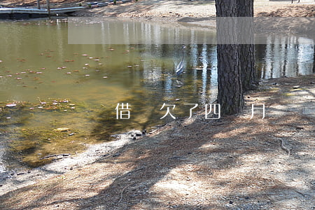 螞蟻借唄欠了四個月(螞蟻借唄拖欠三年)