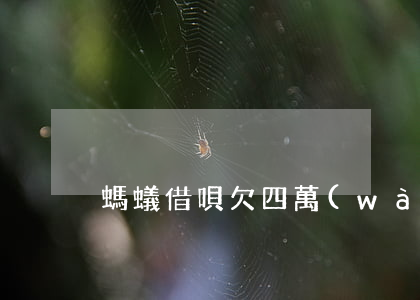 螞蟻借唄欠四萬(wàn)的圖片