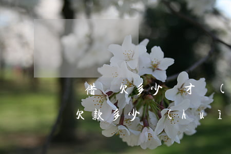 螞蟻借唄欠多少錢才會(huì)被起訴(借唄欠款多少會(huì)被起訴)