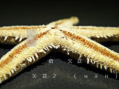 螞蟻借唄欠款2萬(wàn)逾期(螞蟻借唄欠款2萬(wàn)逾期會(huì)被起訴嗎?每個(gè)月有還)