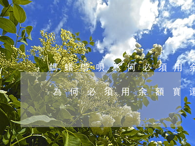螞蟻借唄為何必須用余額寶還款-螞蟻借唄為何必須用余額寶還款呢