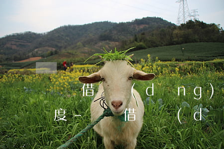 螞蟻借唄當(dāng)天還款為什么降額度-螞蟻借唄當(dāng)天還款為什么降額度了
