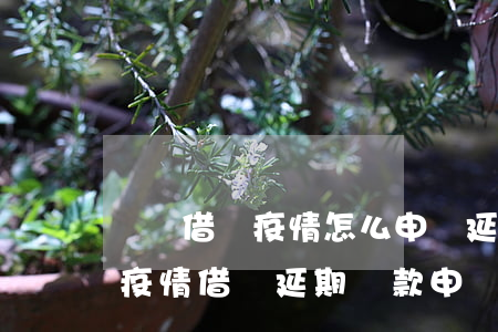 螞蟻借唄疫情怎么申請延期還款-2021疫情借唄延期還款申請
