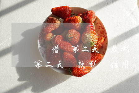 螞蟻借唄第二天還款影響信用嗎-螞蟻借唄第二天還款影響信用嗎