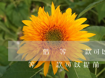 螞蟻借唄等額還款可以提前還嗎-螞蟻借唄等額還款可以提前還嗎安全嗎