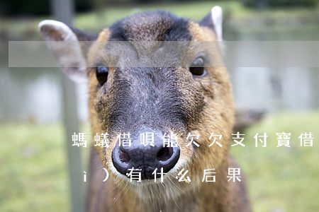 螞蟻借唄能欠(欠支付寶借唄錢不還會(huì)有什么后果)