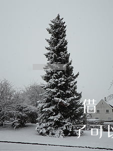 螞蟻借唄能申請逾期還款嗎(支付寶借唄逾期還了可以借嗎)