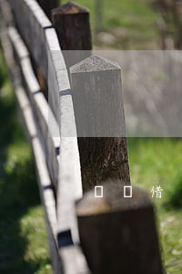 螞蟻借唄能直接用銀行卡還款嗎-