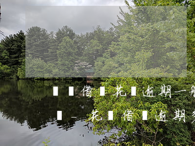 螞蟻借唄花唄逾期一般多久會(huì)起訴-花唄借唄逾期多久會(huì)被起訴,真的會(huì)上門嗎?