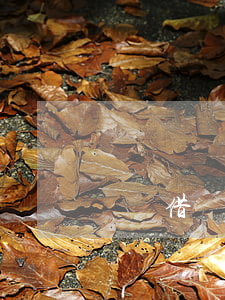 螞蟻借唄花唄逾期會怎樣