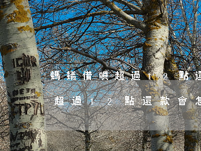 螞蟻借唄超過12點還款會怎樣-螞蟻借唄超過12點還款會怎樣呢