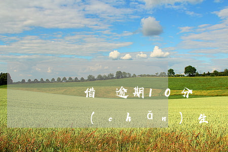 螞蟻借唄逾期10分鐘(螞蟻借唄逾期10分鐘產(chǎn)生記錄)