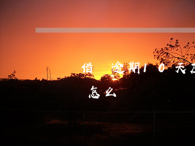 螞蟻借唄逾期10天左右(借唄逾期10多分鐘會怎么樣)