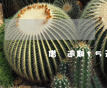 螞蟻借唄逾期15天后果(借唄逾期16天了)