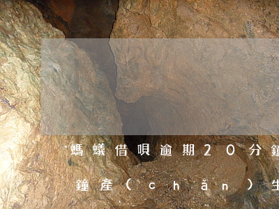 螞蟻借唄逾期20分鐘(螞蟻借唄逾期10分鐘產(chǎn)生記錄)