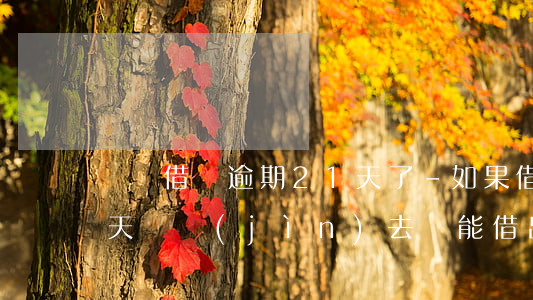 螞蟻借唄逾期21天了-如果借唄逾期21天還進(jìn)去還能借出來(lái)么