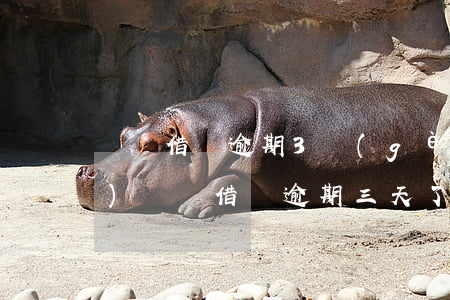 螞蟻借唄逾期3個(gè)月5萬(wàn)(螞蟻借唄逾期三天了會(huì)怎么樣)