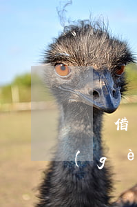 螞蟻借唄逾期3天會怎樣(借唄逾期超過三個(gè)月了)